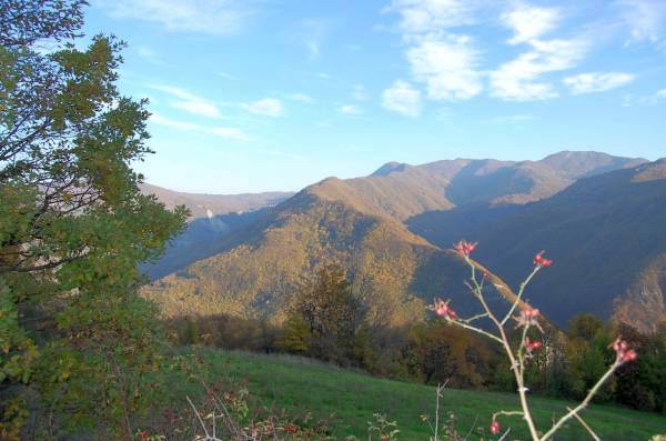 RUSTICO a BETTOLA