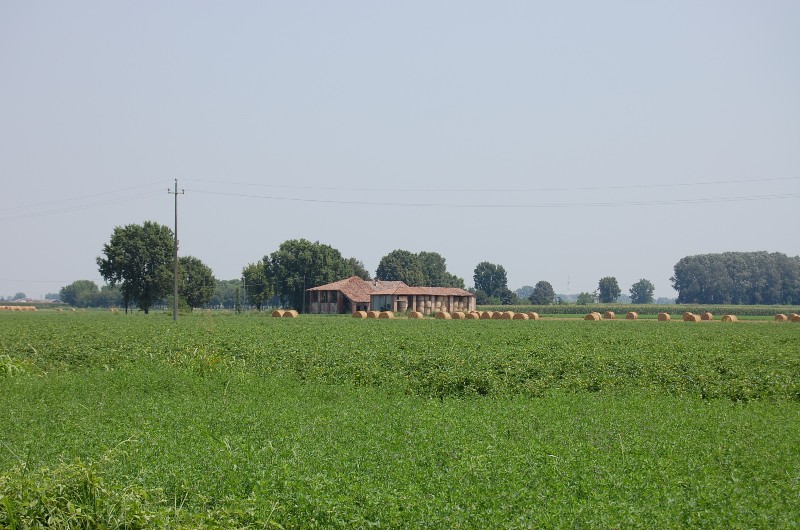 CASALE PIACENZA