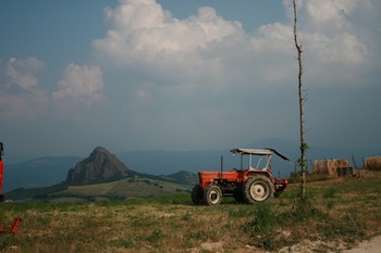 AZIENDA AGRITURISTICA DI 114 ETTARI