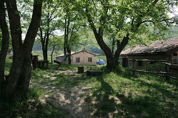 AZIENDA AGRITURISTICA DI 114 ETTARI