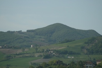 AZIENDA AGRITURISTICA DI 114 ETTARI