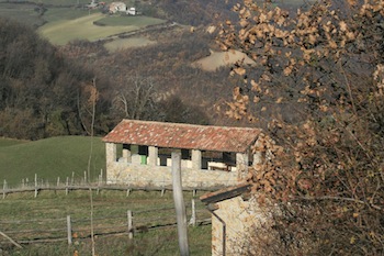 AZIENDA AGRITURISTICA DI 114 ETTARI