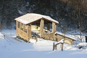 AZIENDA AGRITURISTICA DI 114 ETTARI