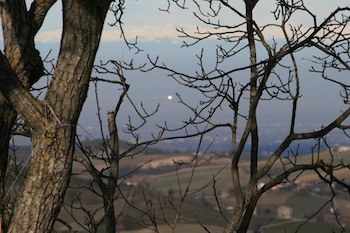 AZIENDA AGRITURISTICA DI 114 ETTARI