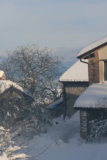AZIENDA AGRITURISTICA DI 114 ETTARI