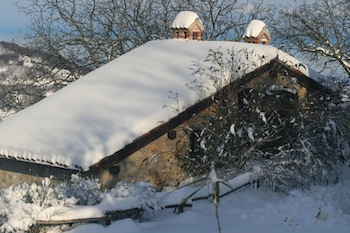 AZIENDA AGRITURISTICA DI 114 ETTARI
