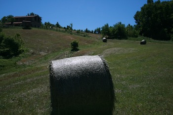 AZIENDA AGRITURISTICA DI 114 ETTARI