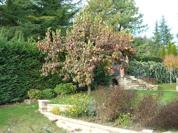 VILLA REZZANELLO