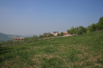 AZIENDA AGRITURISTICA DI 114 ETTARI