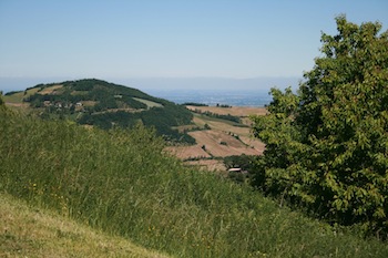 AZIENDA AGRITURISTICA DI 114 ETTARI
