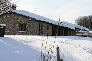 AZIENDA AGRITURISTICA DI 114 ETTARI