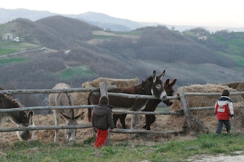 AZIENDA AGRITURISTICA DI 114 ETTARI
