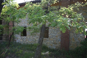 AZIENDA AGRITURISTICA DI 114 ETTARI