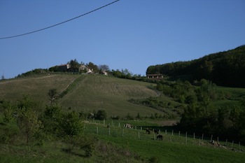 AZIENDA AGRITURISTICA DI 114 ETTARI