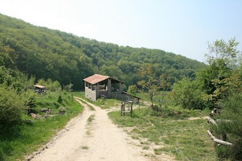 AZIENDA AGRITURISTICA DI 114 ETTARI