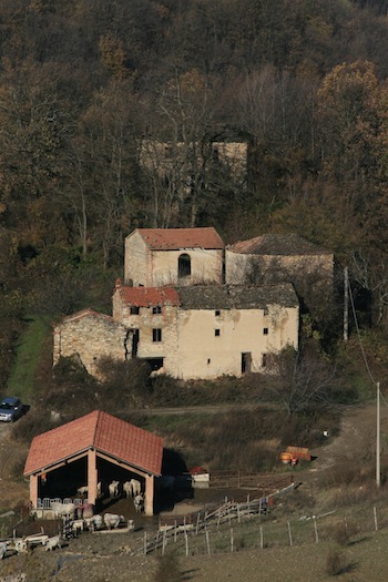 AZIENDA AGRITURISTICA DI 114 ETTARI