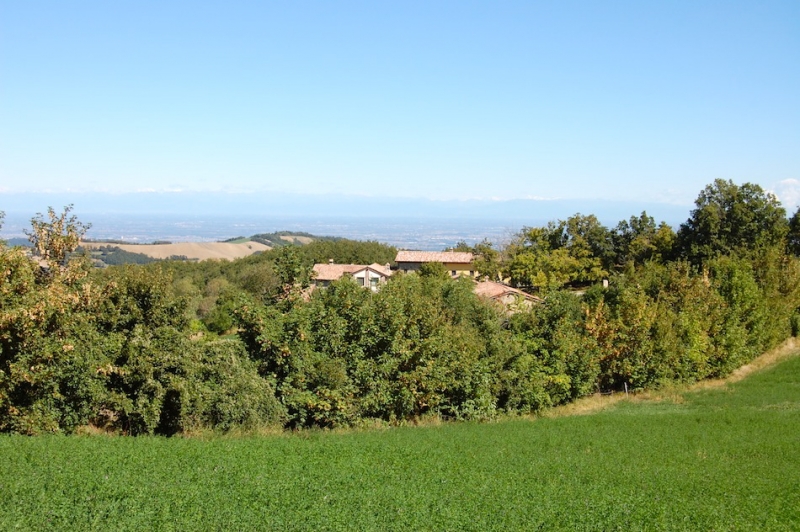 AZIENDA AGRITURISTICA DI 110 ETTARI