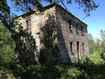 AZIENDA AGRITURISTICA DI 110 ETTARI
