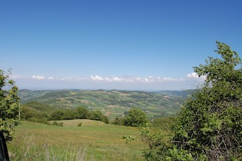 AZIENDA AGRITURISTICA DI 110 ETTARI