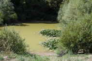 AZIENDA AGRITURISTICA DI 110 ETTARI
