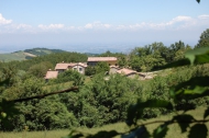 AZIENDA AGRITURISTICA DI 110 ETTARI