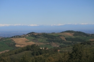AZIENDA AGRITURISTICA DI 110 ETTARI