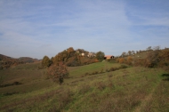 AZIENDA AGRITURISTICA DI 110 ETTARI