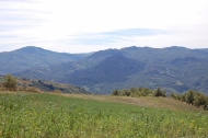 AZIENDA AGRITURISTICA DI 110 ETTARI