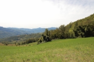 AZIENDA AGRITURISTICA DI 110 ETTARI
