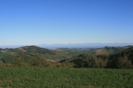 AZIENDA AGRITURISTICA DI 110 ETTARI