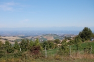 AZIENDA AGRITURISTICA DI 110 ETTARI