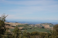 AZIENDA AGRITURISTICA DI 110 ETTARI
