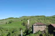 AZIENDA AGRITURISTICA DI 110 ETTARI