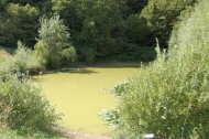AZIENDA AGRITURISTICA DI 110 ETTARI