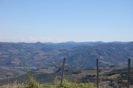 AZIENDA AGRITURISTICA DI 110 ETTARI