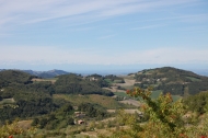 AZIENDA AGRITURISTICA DI 110 ETTARI