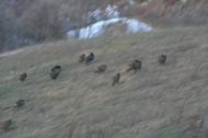 AZIENDA AGRITURISTICA DI 110 ETTARI