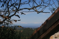 AZIENDA AGRITURISTICA DI 110 ETTARI