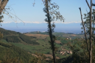 AZIENDA AGRITURISTICA DI 110 ETTARI