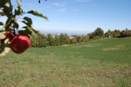 AZIENDA AGRITURISTICA DI 110 ETTARI