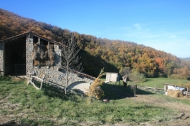 AZIENDA AGRITURISTICA DI 110 ETTARI