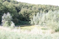 AZIENDA AGRITURISTICA DI 110 ETTARI