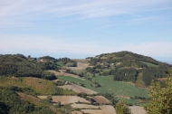 AZIENDA AGRITURISTICA DI 110 ETTARI