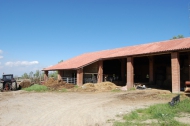 AZIENDA AGRITURISTICA DI 110 ETTARI