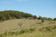 AZIENDA AGRITURISTICA DI 110 ETTARI
