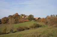 AZIENDA AGRITURISTICA DI 110 ETTARI