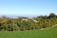 AZIENDA AGRITURISTICA DI 110 ETTARI
