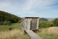 AZIENDA AGRITURISTICA DI 110 ETTARI