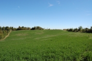 AZIENDA AGRITURISTICA DI 110 ETTARI