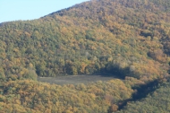 AZIENDA AGRITURISTICA DI 110 ETTARI
